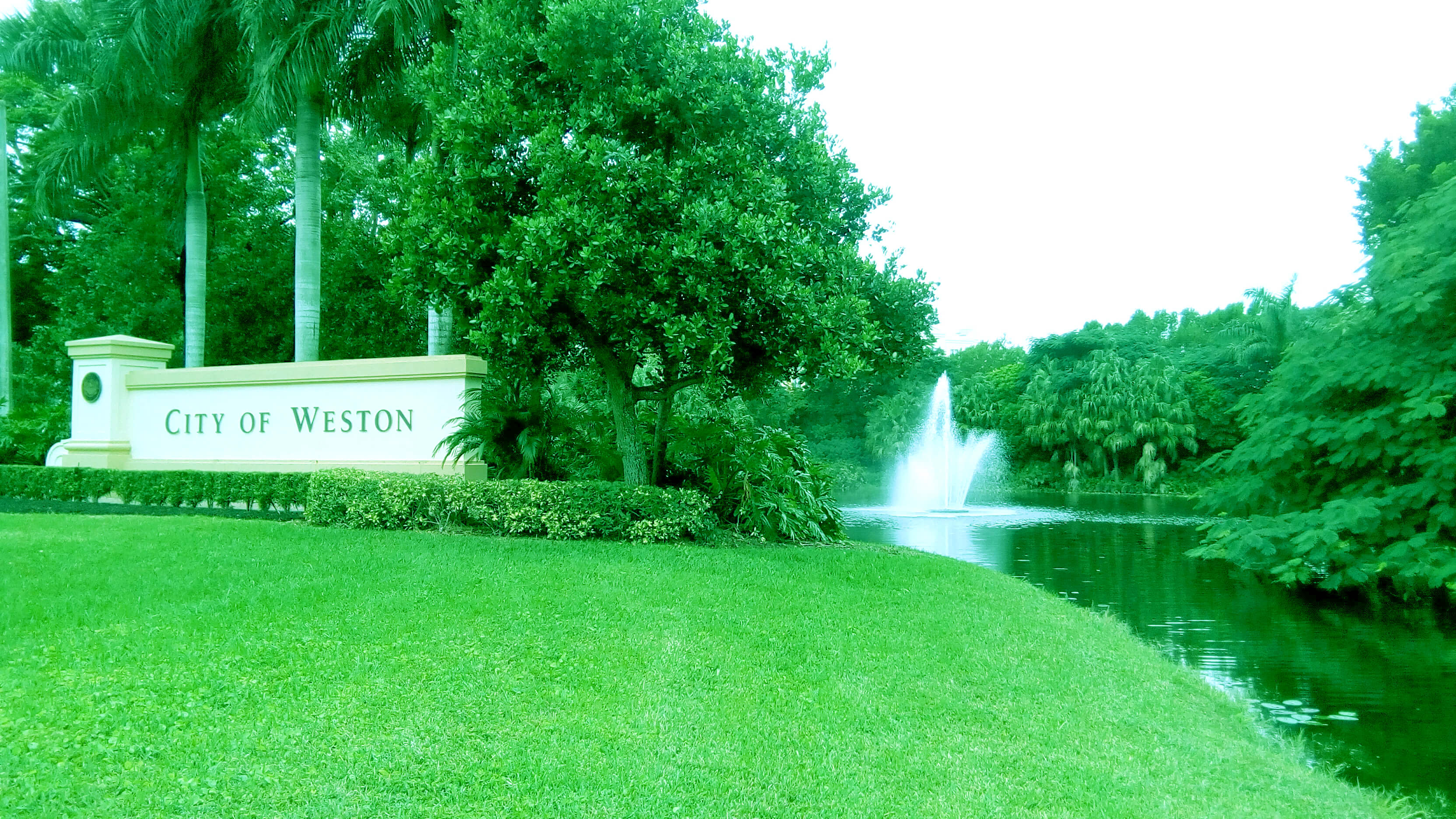 Read more about the article Weston House Calls and Home Visits