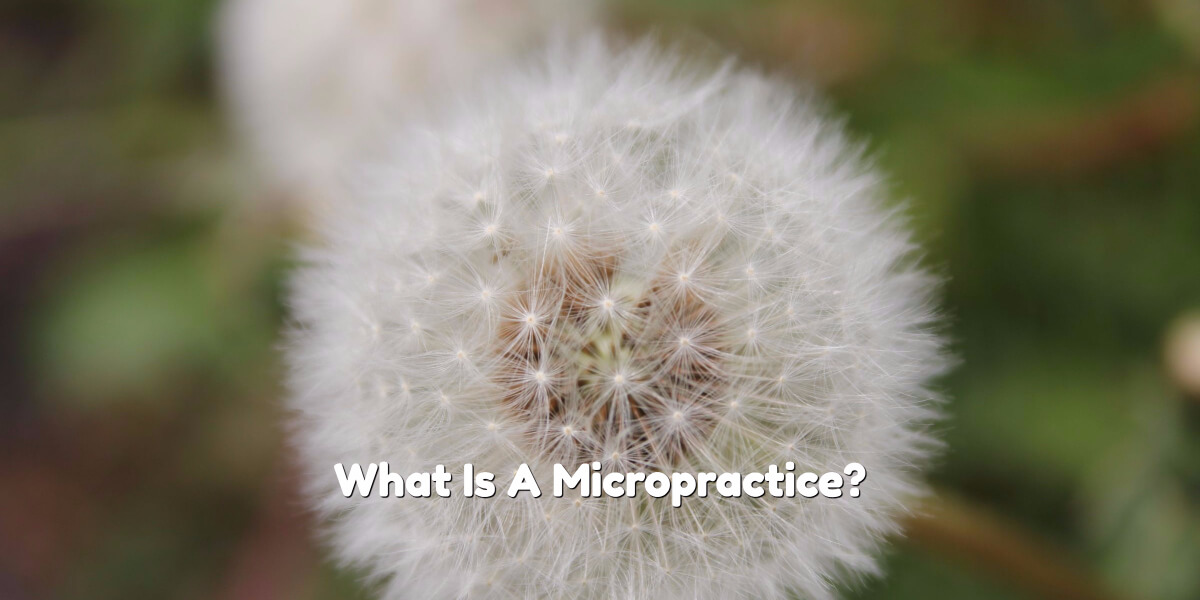 Read more about the article What is a micropractice and how can I find one in Broward County?