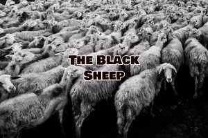 Read more about the article Black Sheep and Drug Addiction