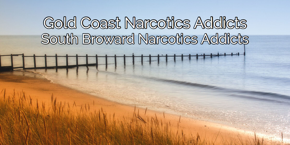 Read more about the article Narcotic Addicts of the Gold Coast and South Broward