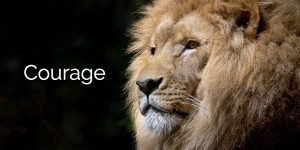 Read more about the article Courage: Having the courage to change everything.