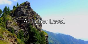 Read more about the article A higher Level Of Care