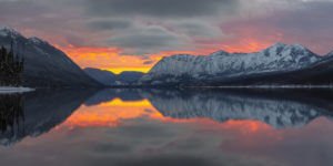 Read more about the article The First 24 Hours