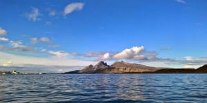 Read more about the article Quit Therapy