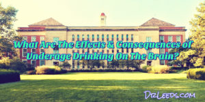 Read more about the article What Are The Effects & Consequences of Underage Drinking On The Brain?