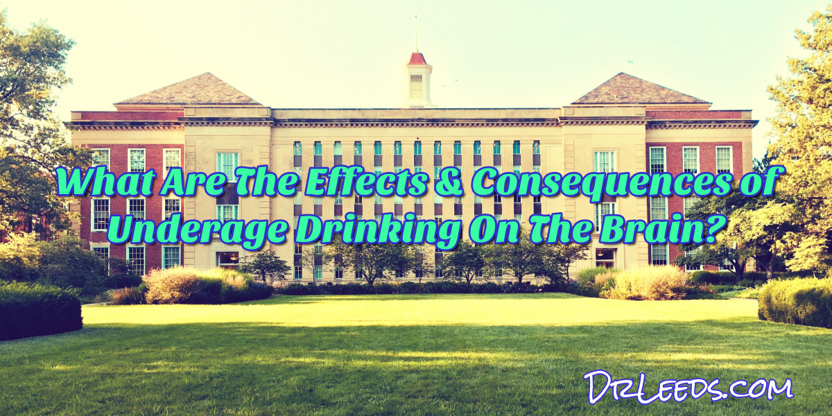 Read more about the article What Are The Effects & Consequences of Underage Drinking On The Brain?