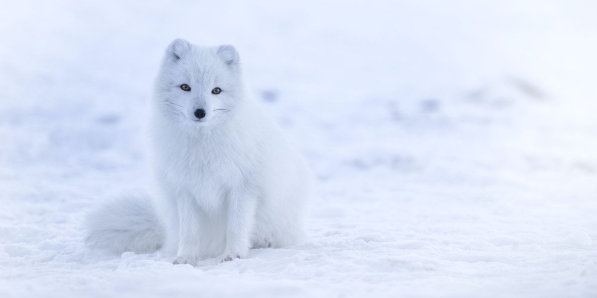 Read more about the article Why Is Suboxone Making Me Feel Worse?