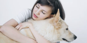 Read more about the article Can I Bring My Pet To Rehab? Does Animal Assisted Therapy Work?