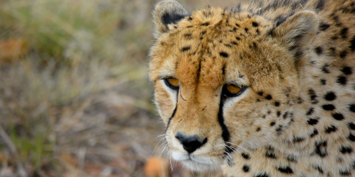 Read more about the article Are there any serious side effects of naltrexone or low dose naltrexone side effects?