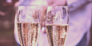 Read more about the article What are the Effects of Drinking Alcohol on The Brain? How does alcohol affect the nervous system?