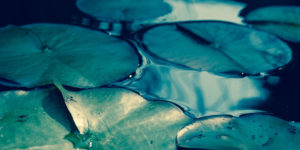 Read more about the article Buccal Vs Sublingual: Can I Put Suboxone In My Cheek? Which Is The Best Way To Take Buprenorphine?