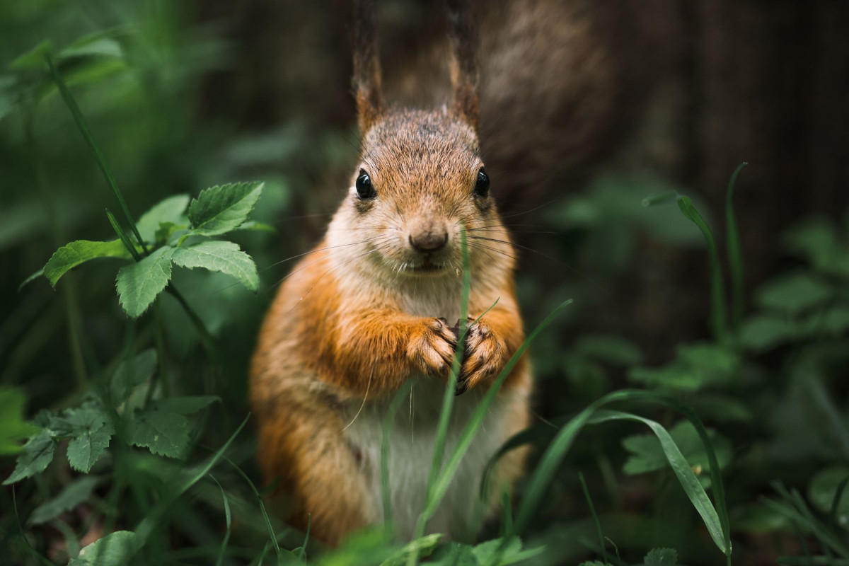 You are currently viewing Does Naltrexone Help With Anxiety? Does LDN Help with Anxiety?