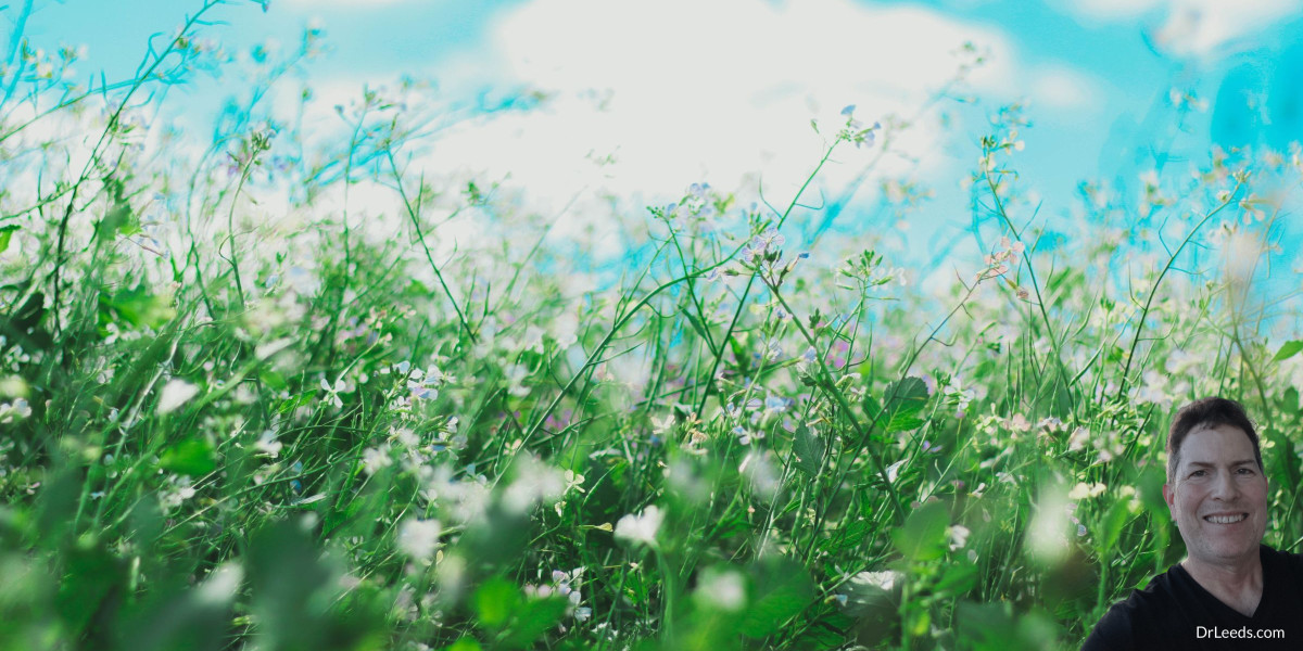 Read more about the article Are Benzos Drugs That Cause Histamine Intolerance And Withdrawal Allergies?