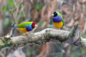 Read more about the article Addiction Triggers: What Are Relapse Triggers And Warning Signs?