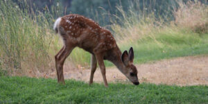 Read more about the article Addiction Triggers: How Do You Avoid Triggers In Recovery?