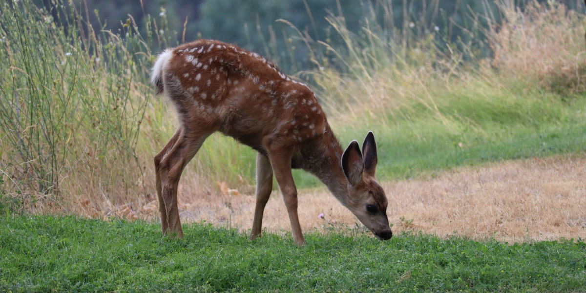 You are currently viewing Addiction Triggers: How Do You Avoid Triggers In Recovery?
