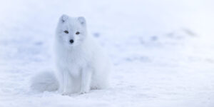 Read more about the article Why is fentanyl withdrawal so bad?