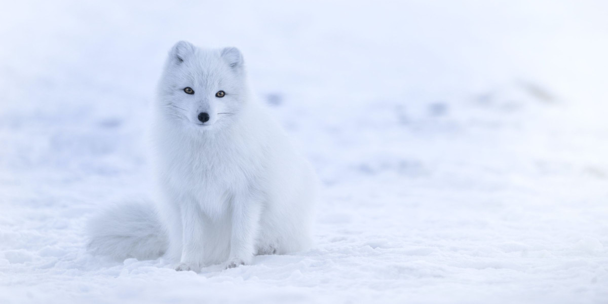 Read more about the article Why is fentanyl withdrawal so bad?