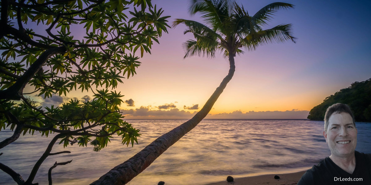 Read more about the article Liver Detox From Alcohol: Can Your Liver Heal Itself?