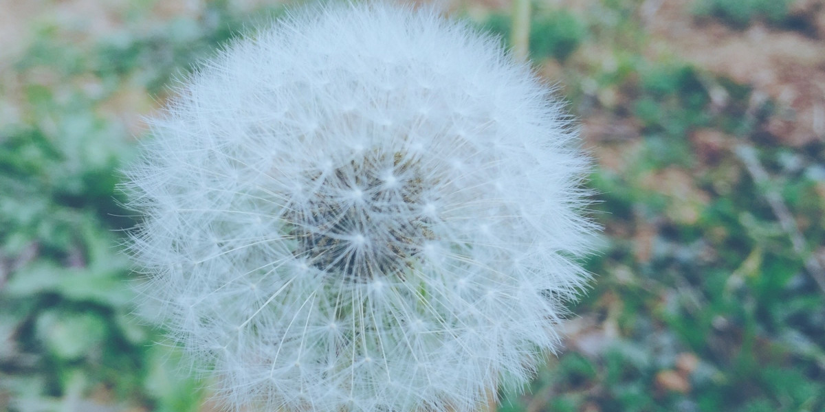 Read more about the article Weed and Xanax: Can Cannabis Edibles Reduce Withdrawal in a Benzo Taper?