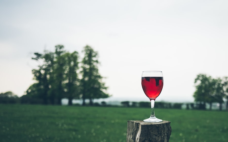 A Glass Of Wine On A Stump 