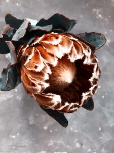 Read more about the article Is Akathisia Permanent? Understanding the Long-Term Effects