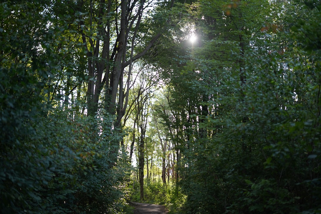 You are currently viewing Brixadi Copay Assistance Programs: Eligibility and Application